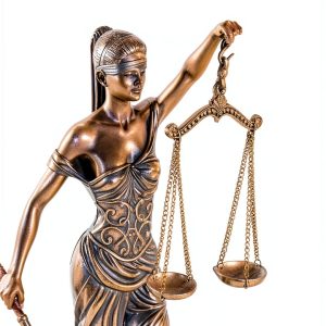 ILR Press Law Practice Research eBook - 360 Page Legal Guide-0